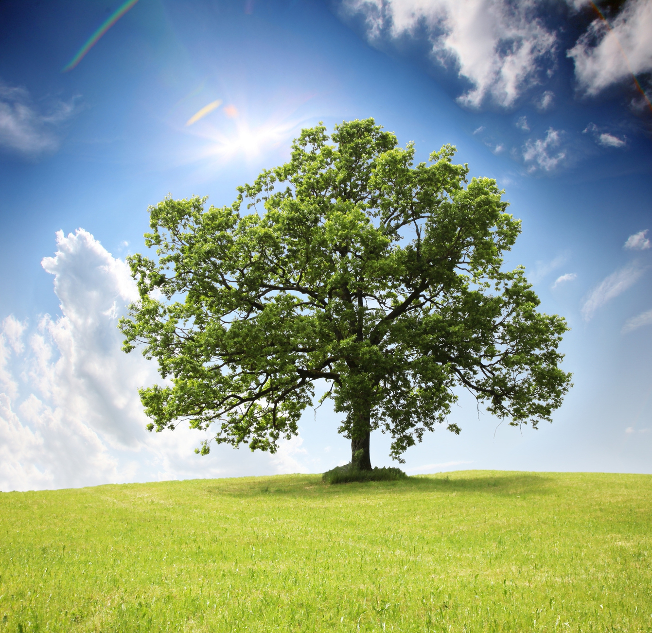 Corso di 1° Livello di Reiki (Weekend)